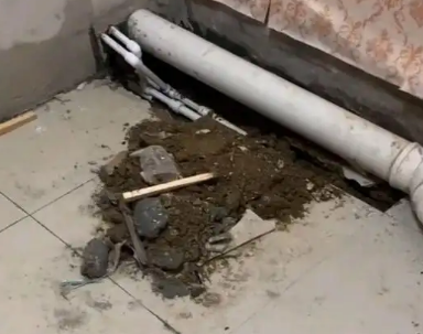 郧西卫生间漏水检测哪家好