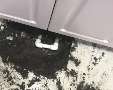 郧西查漏水哪家好